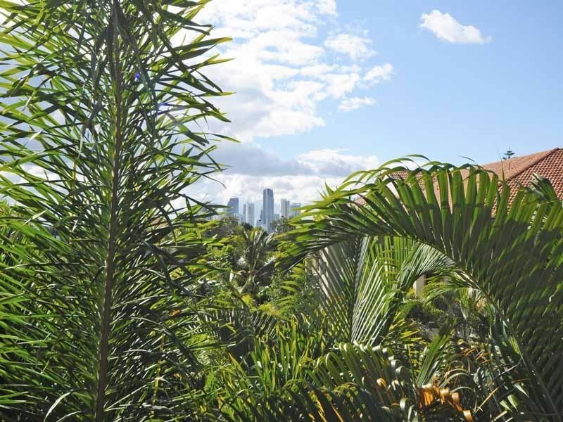 88 ‘Turtle Bay’, 14 Markeri Street, Mermaid Beach QLD 4218