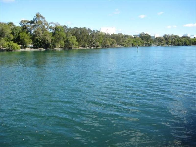 245 Stanhill Drive, Surfers Paradise QLD 4217