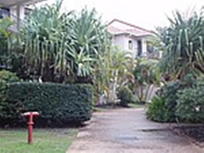 16 ‘Turtle Bay’, 14 Markeri Street, Mermaid Beach QLD 4218