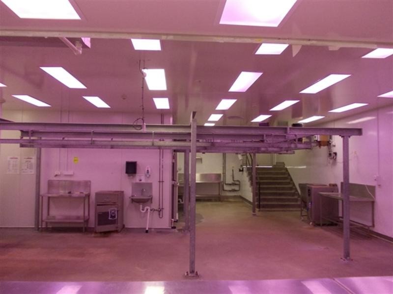 19 Tansey Street, Beenleigh QLD 4207