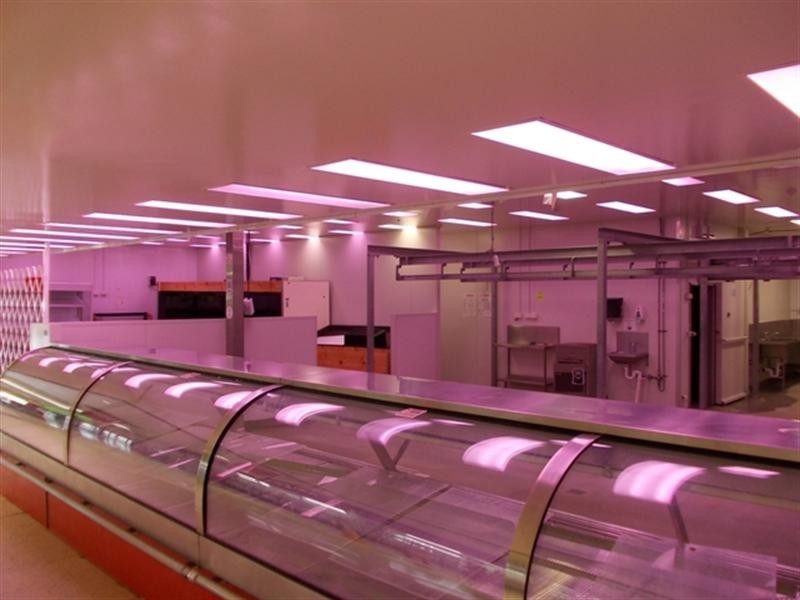 19 Tansey Street, Beenleigh QLD 4207