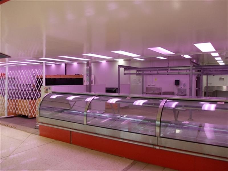 19 Tansey Street, Beenleigh QLD 4207