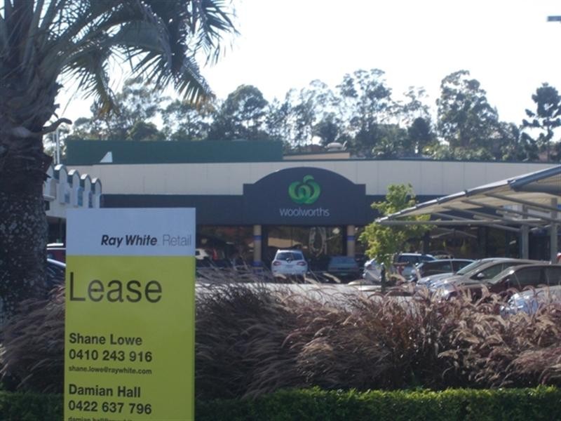 155 Nineteenth Avenue, Elanora QLD 4221