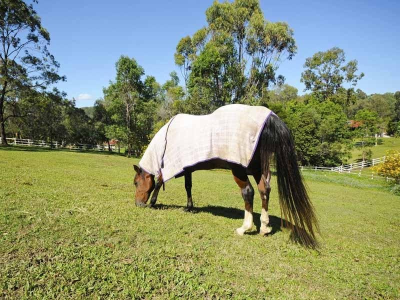 80 Wallandra Road, Tallai QLD 4213