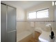 19 Satinwood Place, Palm Beach QLD 4221