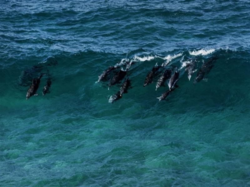 12 Dune Street, Fingal Head NSW 2487