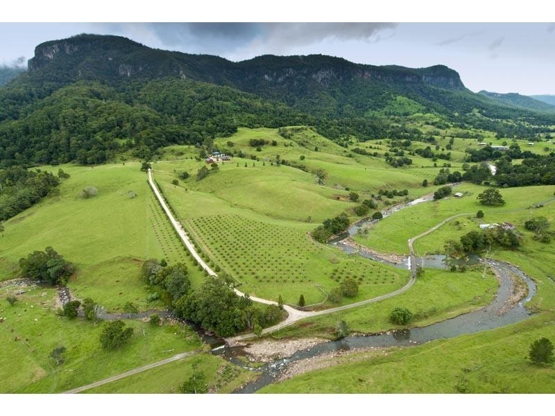 3104 Nerang-Murwillumbah Road, Natural Bridge QLD 4211