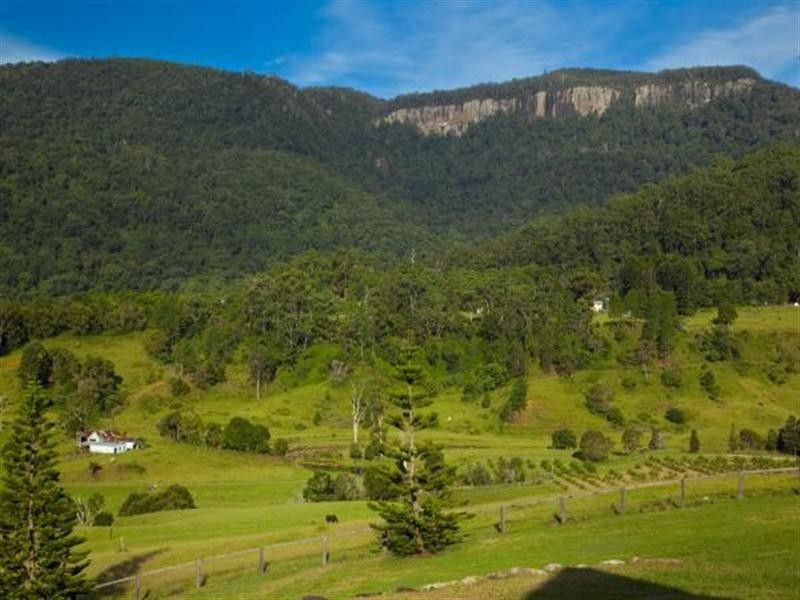 3104 Nerang-Murwillumbah Road, Natural Bridge QLD 4211