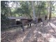7 Baker Street, Hazelmere WA 6055
