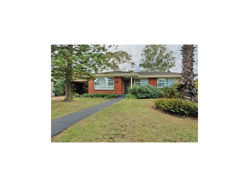 19 Harford Avenue, Viveash WA 6056