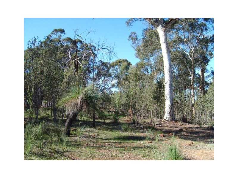 24 Teatree Road, Bindoon WA 6502