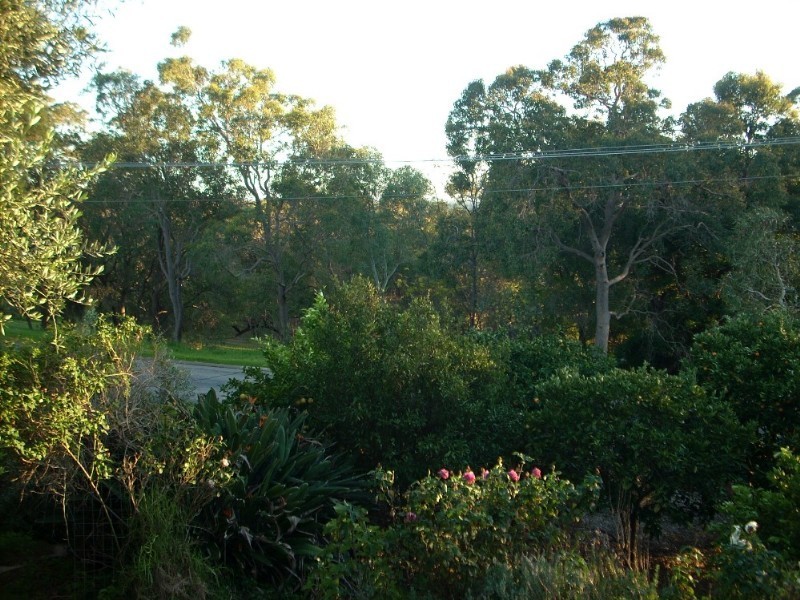 56 Weston Drive, Swan View WA 6056