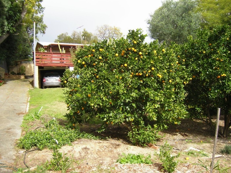 56 Weston Drive, Swan View WA 6056