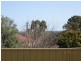 41 Cupello Drive, Swan View WA 6056