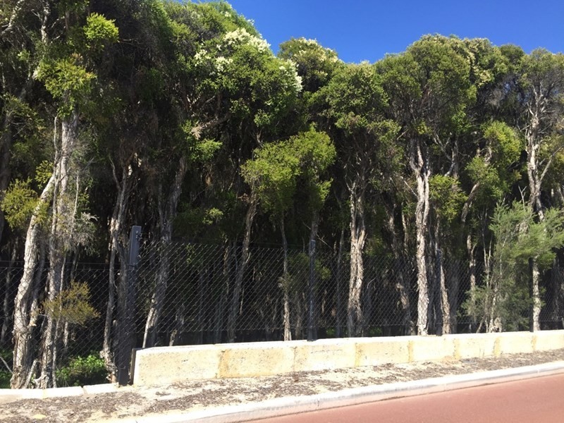 12 Cordovan Parkway, Aveley WA 6069