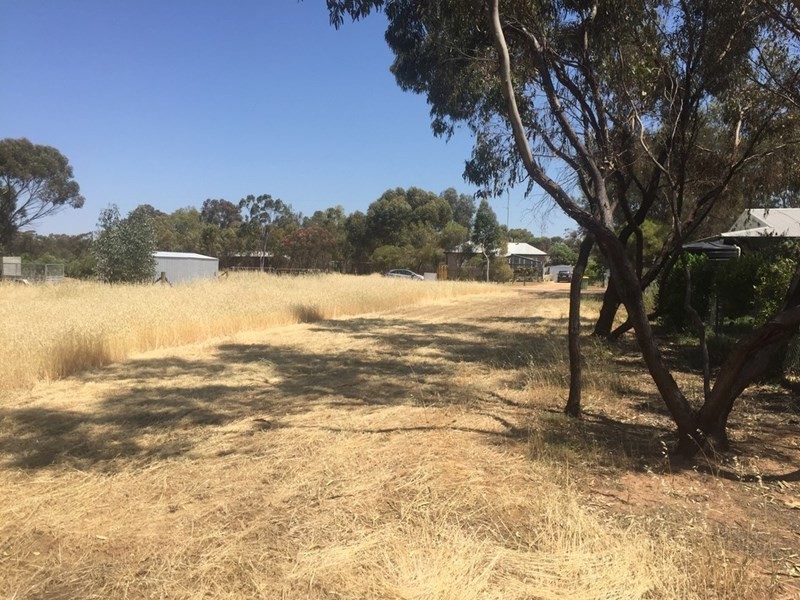 Lot 37 Milhinch Street, Muluckine WA 6401