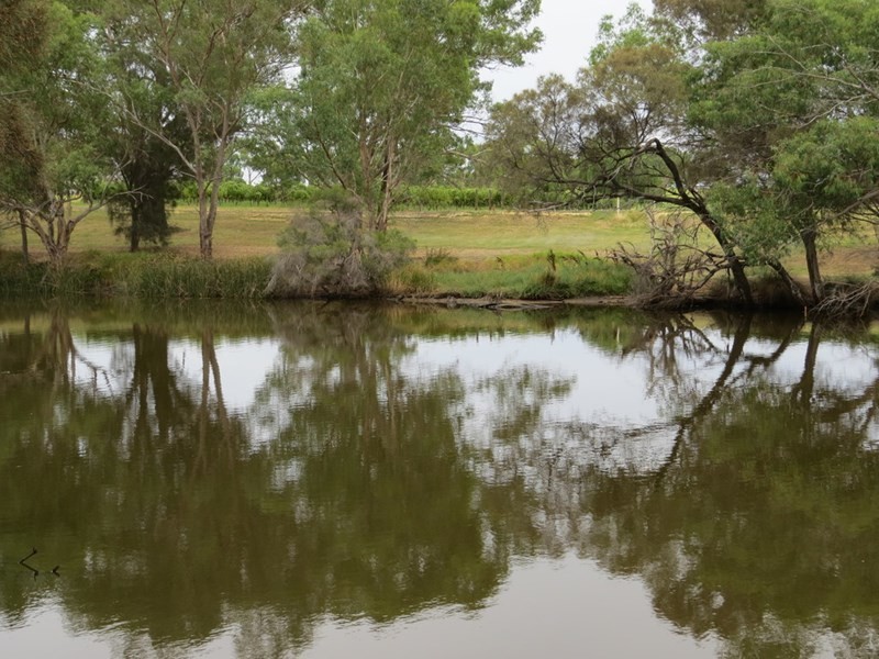 23 Bernley Drive, Viveash WA 6056