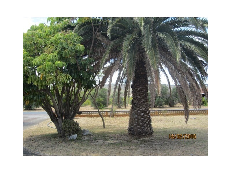 73 Campersic Road, Middle Swan WA 6056