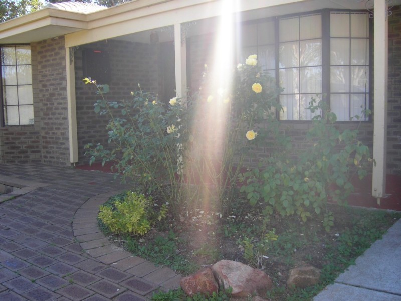 26 Astroloma Place, Koongamia WA 6056