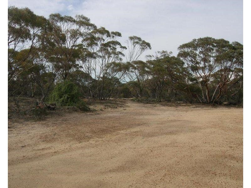 Lot 122 Wilson Street, Wyalkatchem WA 6485