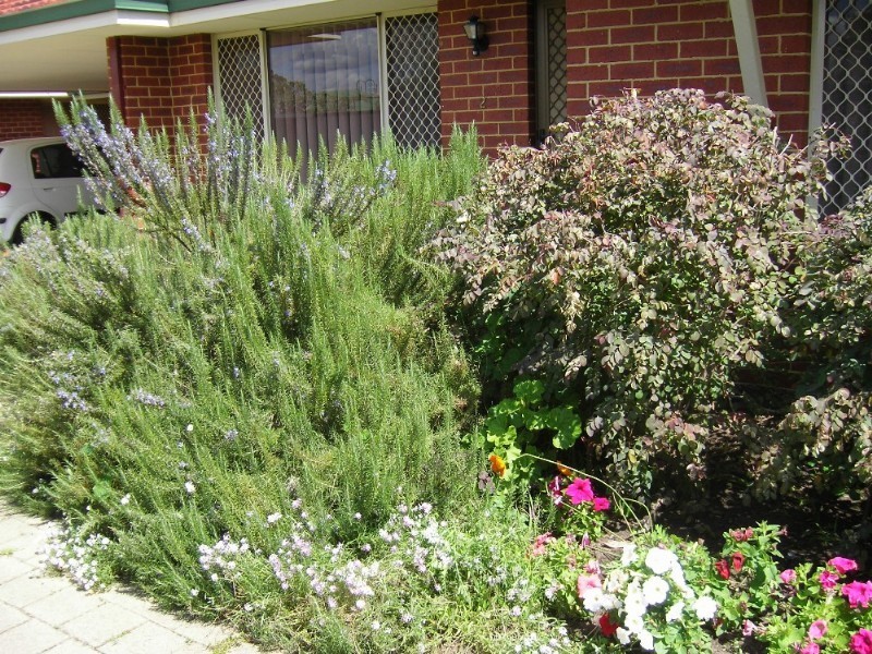 2/29 North Street, Midland WA 6056