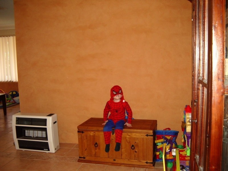 27 Bildjar Close, South Guildford WA 6055