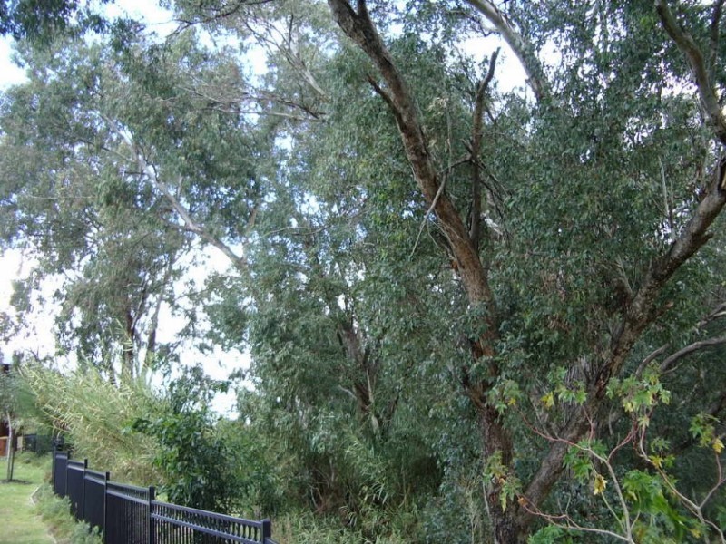 16B Muja Lane, Woodbridge WA 6056