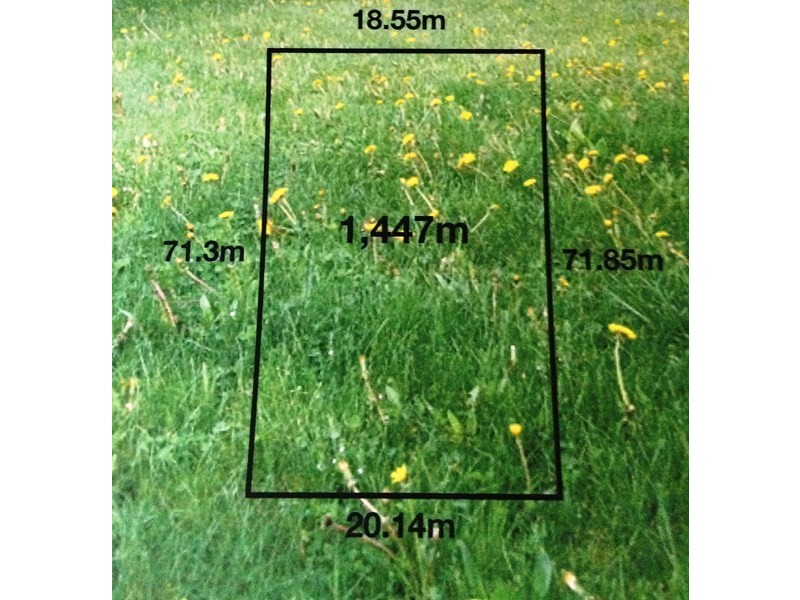 59 Loton Avenue, Midland WA 6056