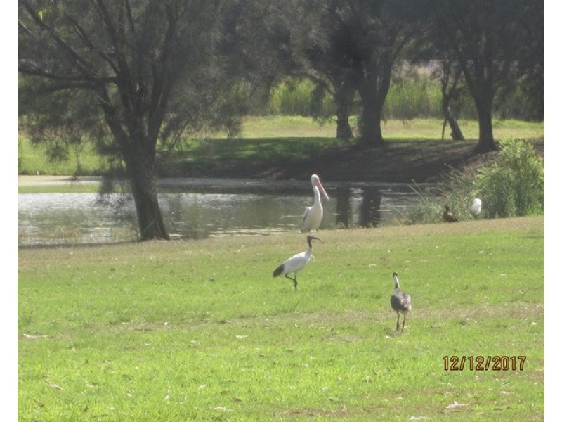 54 Waterhall Road, South Guildford WA 6055