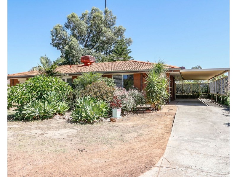 23 Blackadder Road, Swan View WA 6056