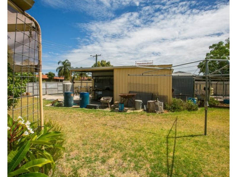 19 Redgum Avenue, Bellevue WA 6056