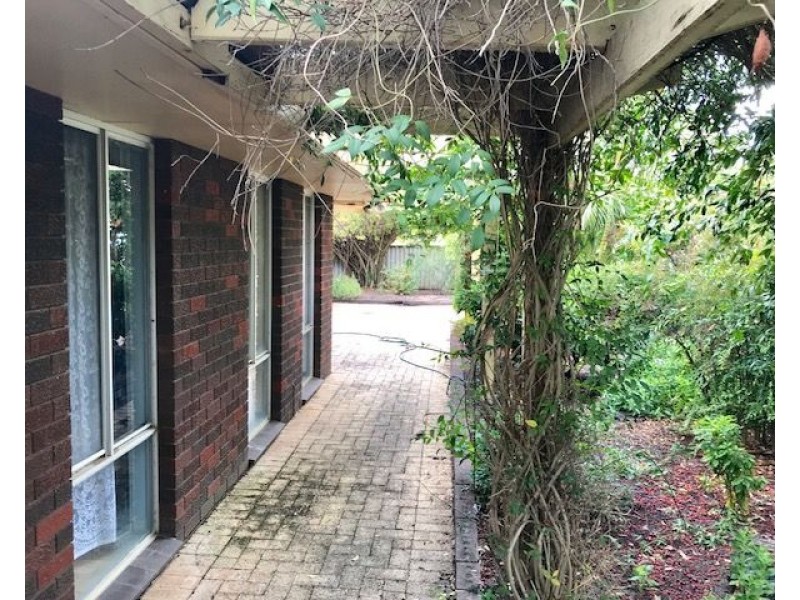 19 Redgum Avenue, Bellevue WA 6056