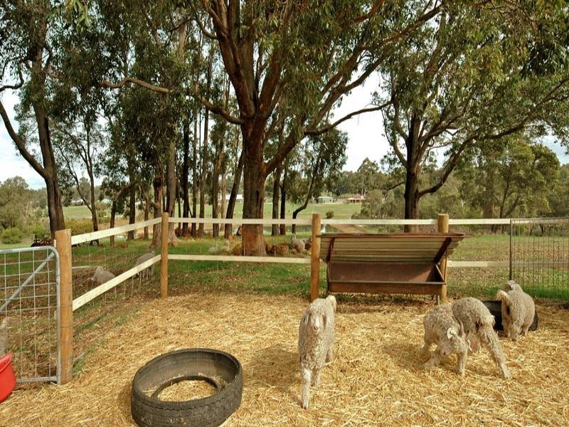 131 Lakeview Drive, Gidgegannup WA 6083