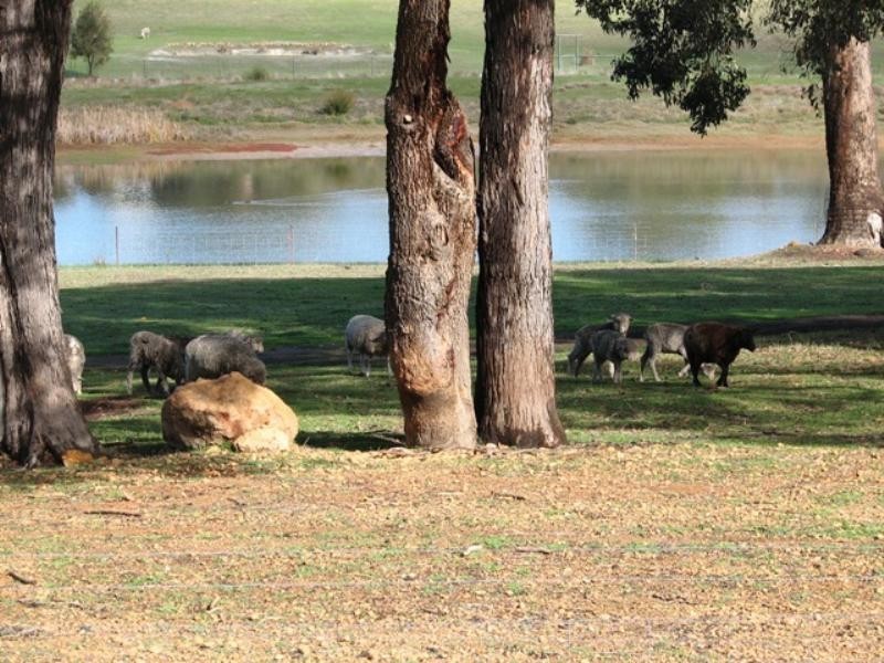 131 Lakeview Drive, Gidgegannup WA 6083