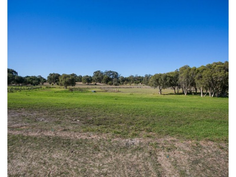 84 Fergusson Close, West Swan WA 6055