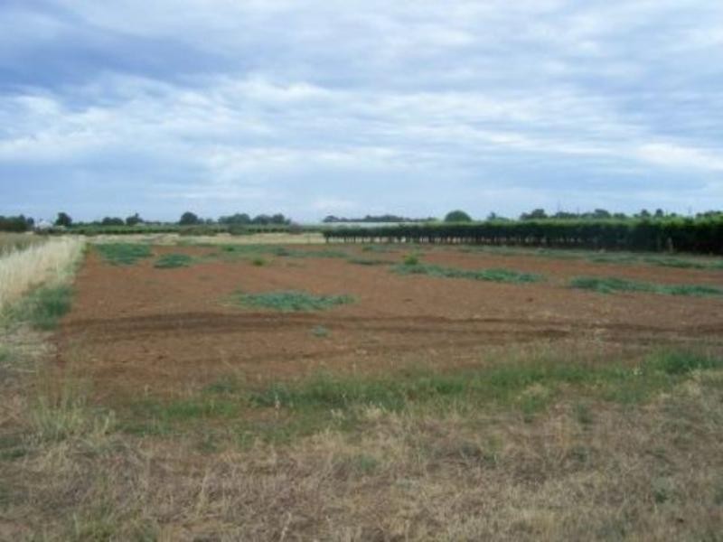 11 Cecelia Road, Caversham WA 6055