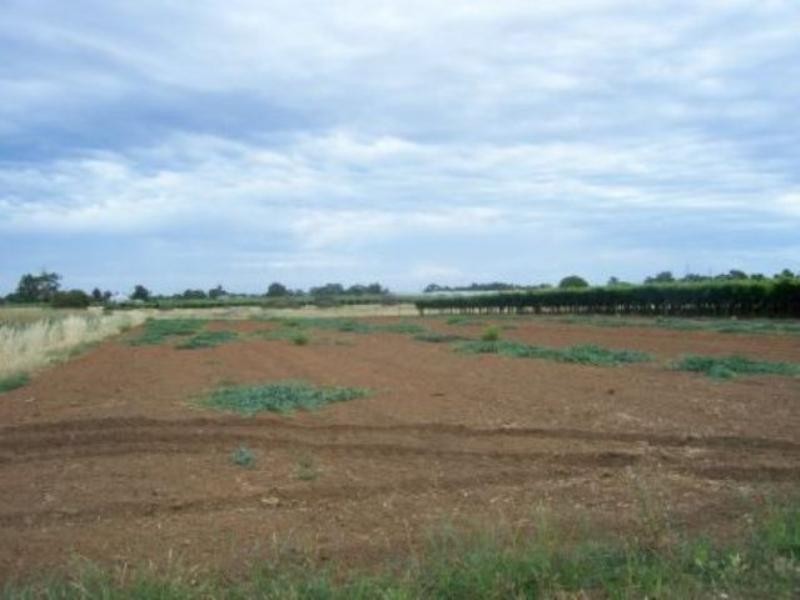 11 Cecelia Road, Caversham WA 6055