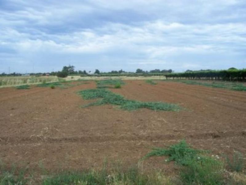 11 Cecelia Road, Caversham WA 6055