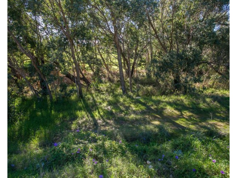 168 Clayton Street, Bellevue WA 6056