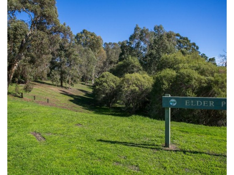 168 Clayton Street, Bellevue WA 6056