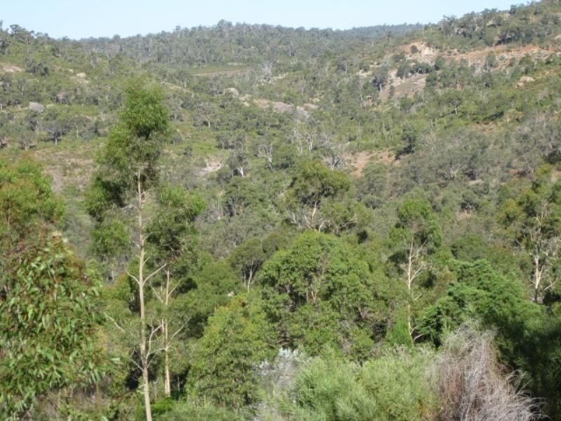 730 Viveash Road, Swan View WA 6056