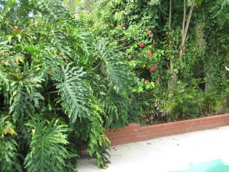 33 Weston Drive, Swan View WA 6056