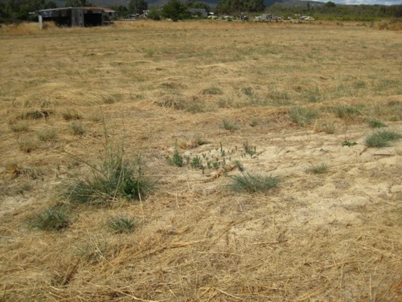 144 Lennard Street, Herne Hill WA 6056