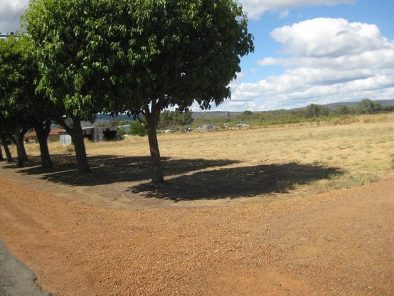 144 Lennard Street, Herne Hill WA 6056