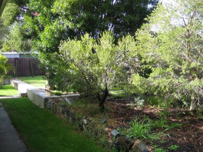 167 Blackadder Road, Swan View WA 6056