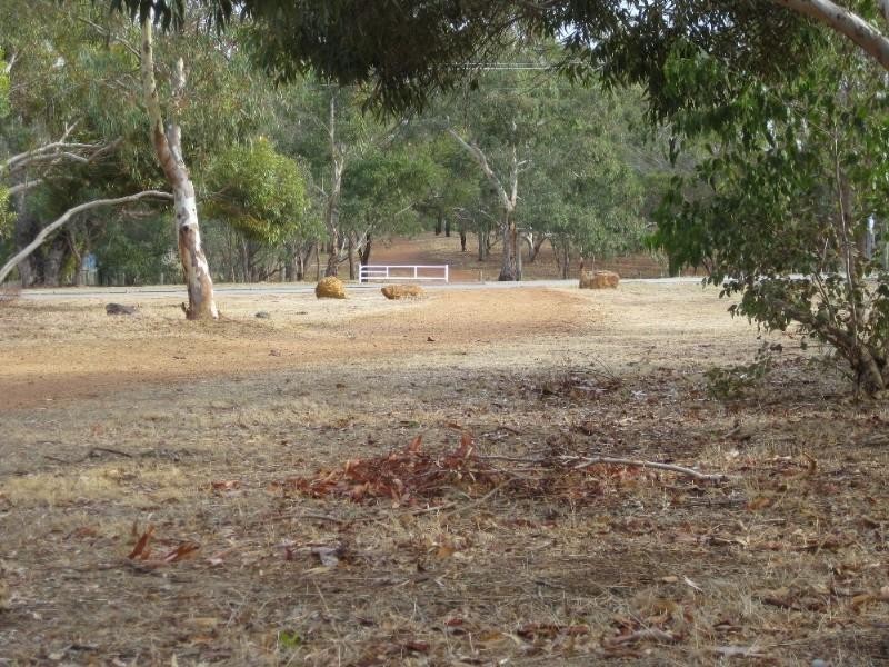 1/43-45 Coongan Avenue, Greenmount WA 6056