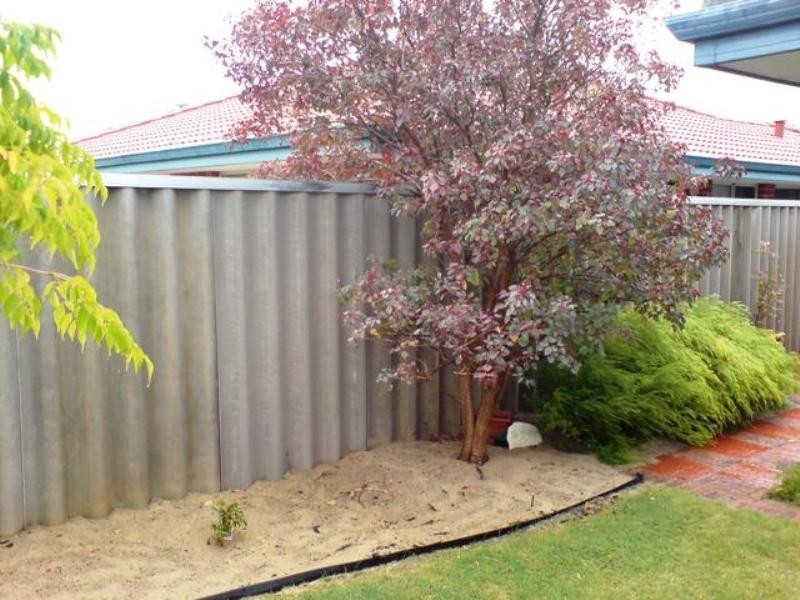 16 Campolino Gardens, Stratton WA 6056