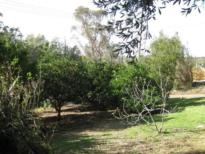 56 Weston Drive, Swan View WA 6056