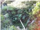 The Vines WA 6069