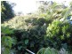 The Vines WA 6069